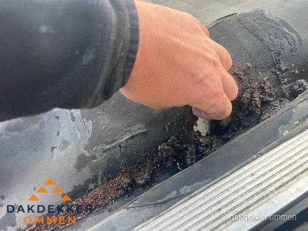 Schade aan bitumen dakbedekking op plat dak in Ommen Schade aan bitumen dakbedekking op plat dak in Ommen
