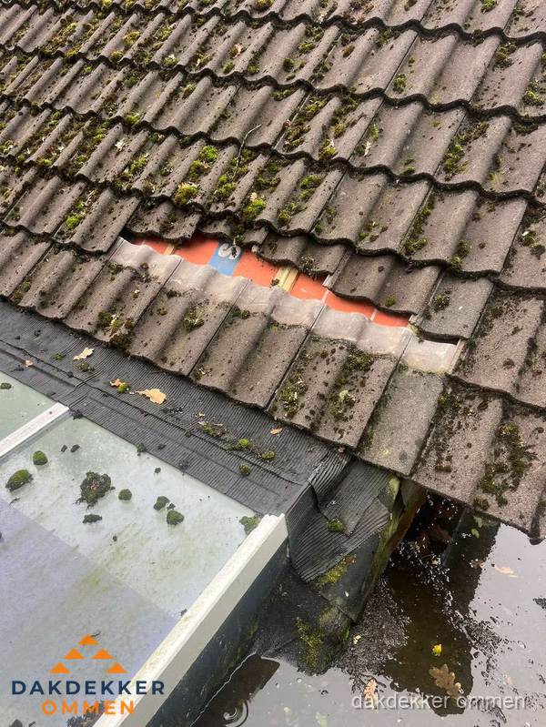 Beschadigd pannendak met ontbrekende dakpannen voor reparatie in Ommen