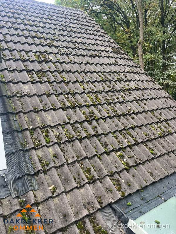 Verweerd pannendak met mosgroei dat renovatie nodig heeft in Ommen Verweerd pannendak met mosgroei dat renovatie nodig heeft in Ommen