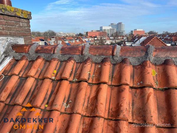Pannendak met nokvorst en schoorsteen, dakrenovatie in Ommen Pannendak met nokvorst en schoorsteen, dakrenovatie in Ommen