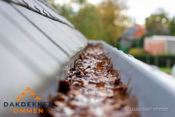 Verstopte dakgoot met bladeren schoonmaken in Ommen Verstopte dakgoot met bladeren schoonmaken in Ommen