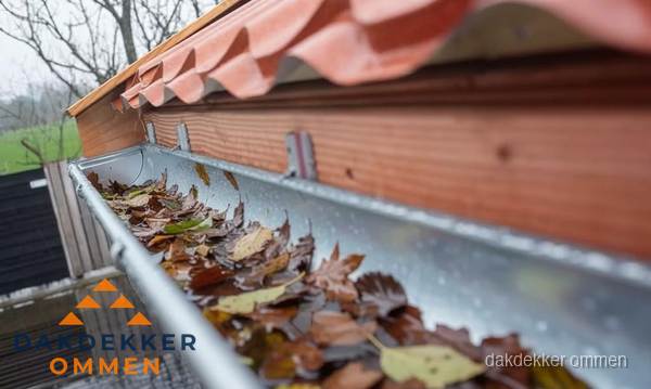 Dakgoot vol bladeren die gereinigd moet worden in Ommen Dakgoot vol bladeren die gereinigd moet worden in Ommen