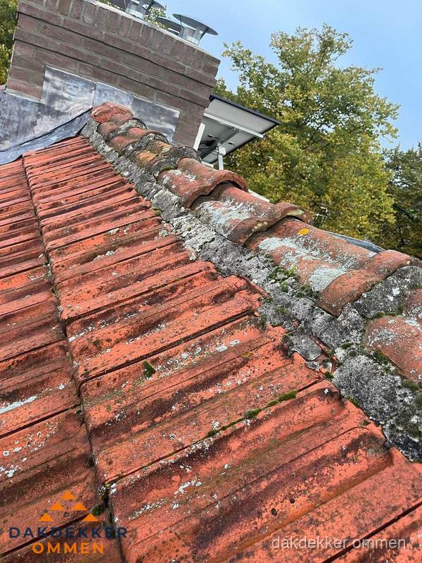 Verweerd hellend dak met mosgroei op nokvorst in Ommen Verweerd hellend dak met mosgroei op nokvorst in Ommen